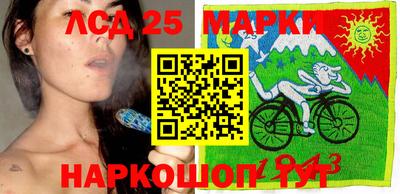 сатива Новодвинск