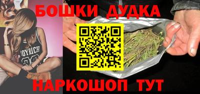 сатива Новодвинск