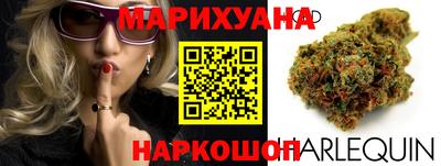 сатива Новодвинск