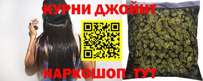 сатива Новодвинск