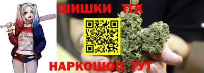 сатива Новодвинск