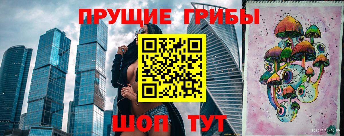 Ростов-на-Дону  Псилоцибиновые грибы Psilocybe  Вход с VPN  Галлюциногенные грибы Psilocybe 